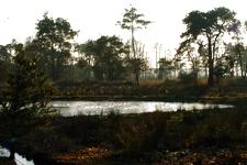 strijen_225x150_022.jpg