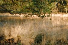 strijen_225x150_023.jpg