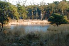 strijen_225x150_025.jpg