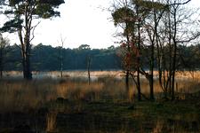 strijen_225x150_027.jpg