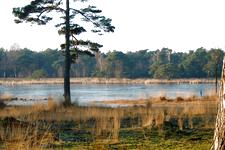 strijen_225x150_028.jpg