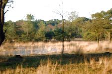 strijen_225x150_029.jpg