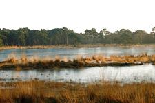 strijen_225x150_032.jpg