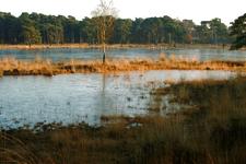 strijen_225x150_033.jpg