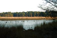 strijen_225x150_034.jpg
