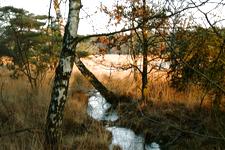 strijen_225x150_035.jpg