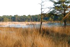 strijen_225x150_037.jpg