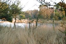 strijen_225x150_038.jpg