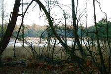 strijen_225x150_040.jpg