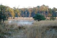 strijen_225x150_042.jpg