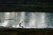 strijen_225x150_045.jpg