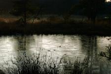 strijen_225x150_046.jpg