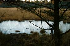 strijen_225x150_049.jpg