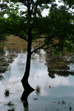strijbeek_150x225_007.jpg