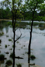 strijbeek_150x225_009.jpg