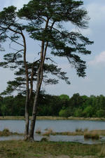 strijbeek_150x225_021.jpg