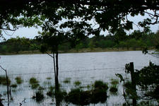 strijbeek_225x150_001.jpg