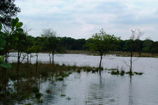 strijbeek_225x150_002.jpg