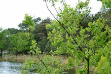 strijbeek_225x150_003.jpg