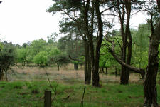 strijbeek_225x150_005.jpg