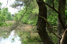 strijbeek_225x150_006.jpg