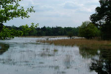 strijbeek_225x150_008.jpg