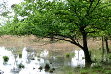 strijbeek_225x150_010.jpg