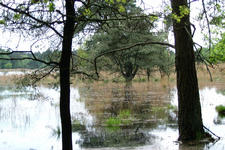 strijbeek_225x150_011.jpg
