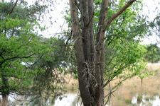 strijbeek_225x150_012.jpg