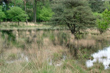 strijbeek_225x150_013.jpg