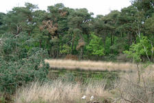 strijbeek_225x150_014.jpg