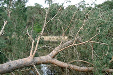 strijbeek_225x150_015.jpg