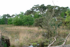 strijbeek_225x150_016.jpg
