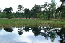 strijbeek_225x150_017.jpg