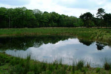 strijbeek_225x150_019.jpg