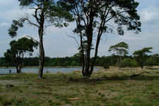 strijbeek_225x150_020.jpg