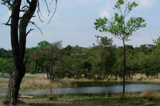 strijbeek_225x150_022.jpg