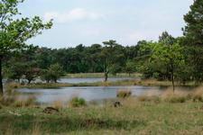 strijbeek_225x150_023.jpg