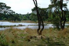 strijbeek_225x150_024.jpg