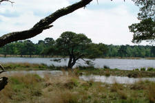 strijbeek_225x150_025.jpg