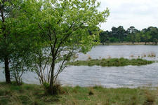 strijbeek_225x150_027.jpg