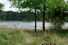 strijbeek_225x150_028.jpg