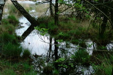 strijbeek_225x150_031.jpg