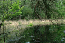 strijbeek_225x150_032.jpg