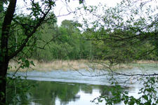 strijbeek_225x150_033.jpg