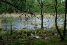 strijbeek_225x150_034.jpg