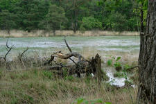 strijbeek_225x150_035.jpg