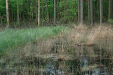 strijbeek_225x150_037.jpg