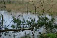 strijbeek_225x150_039.jpg