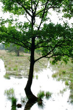 strijen_150x225_003.jpg